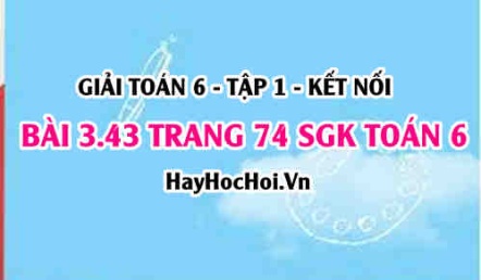 Giải bài 3.43 trang 74 Toán 6 Tập 1 SGK Kết nối tri thức